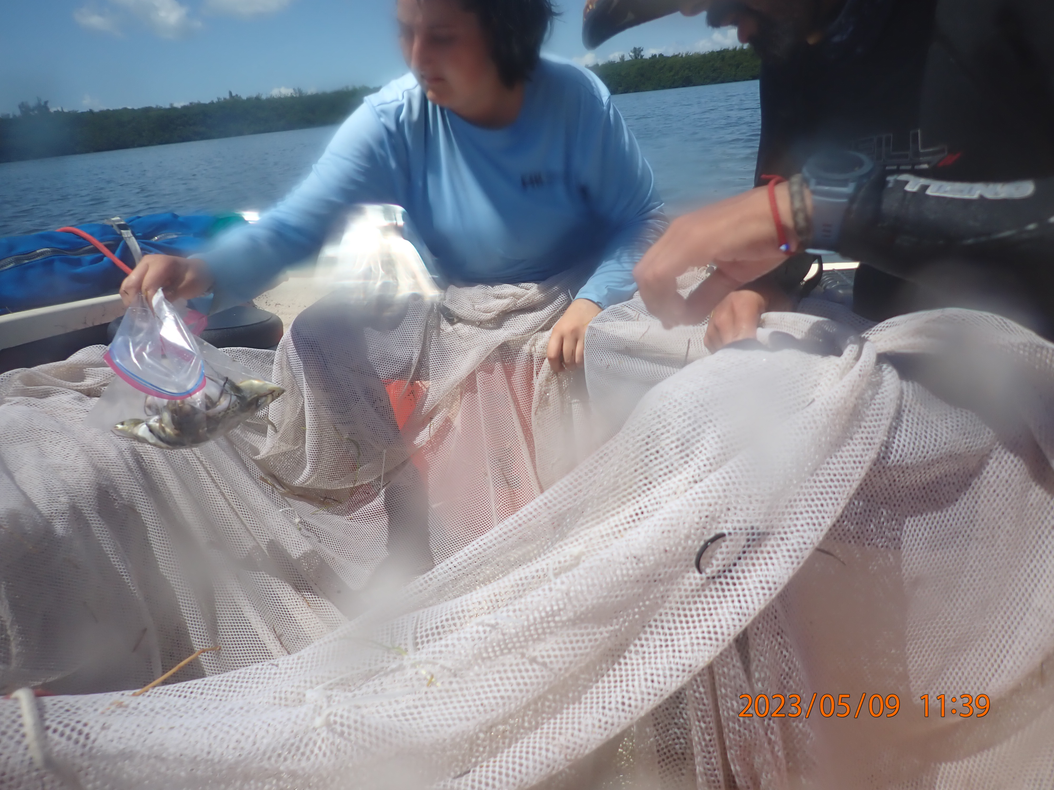 Gina handling seine samples