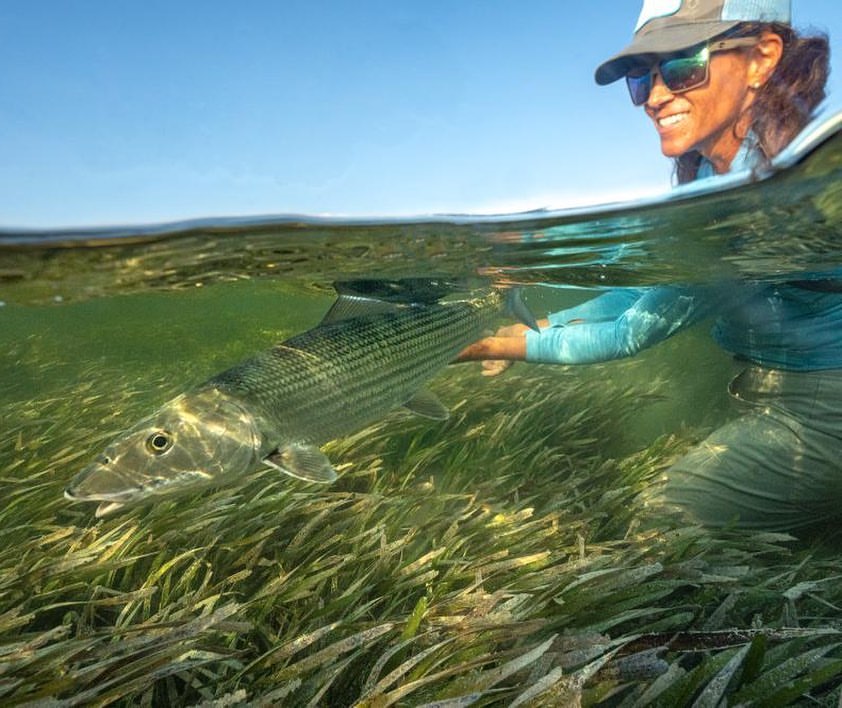 Dr. Rehage safely releasing a Bonefish.