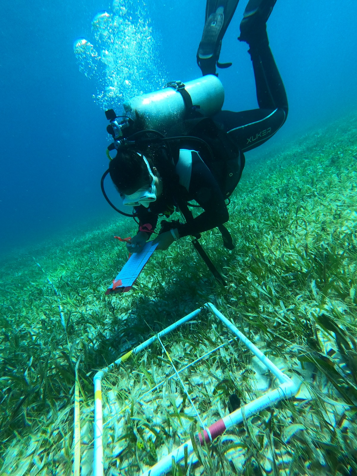 The Team conducting ground truthing