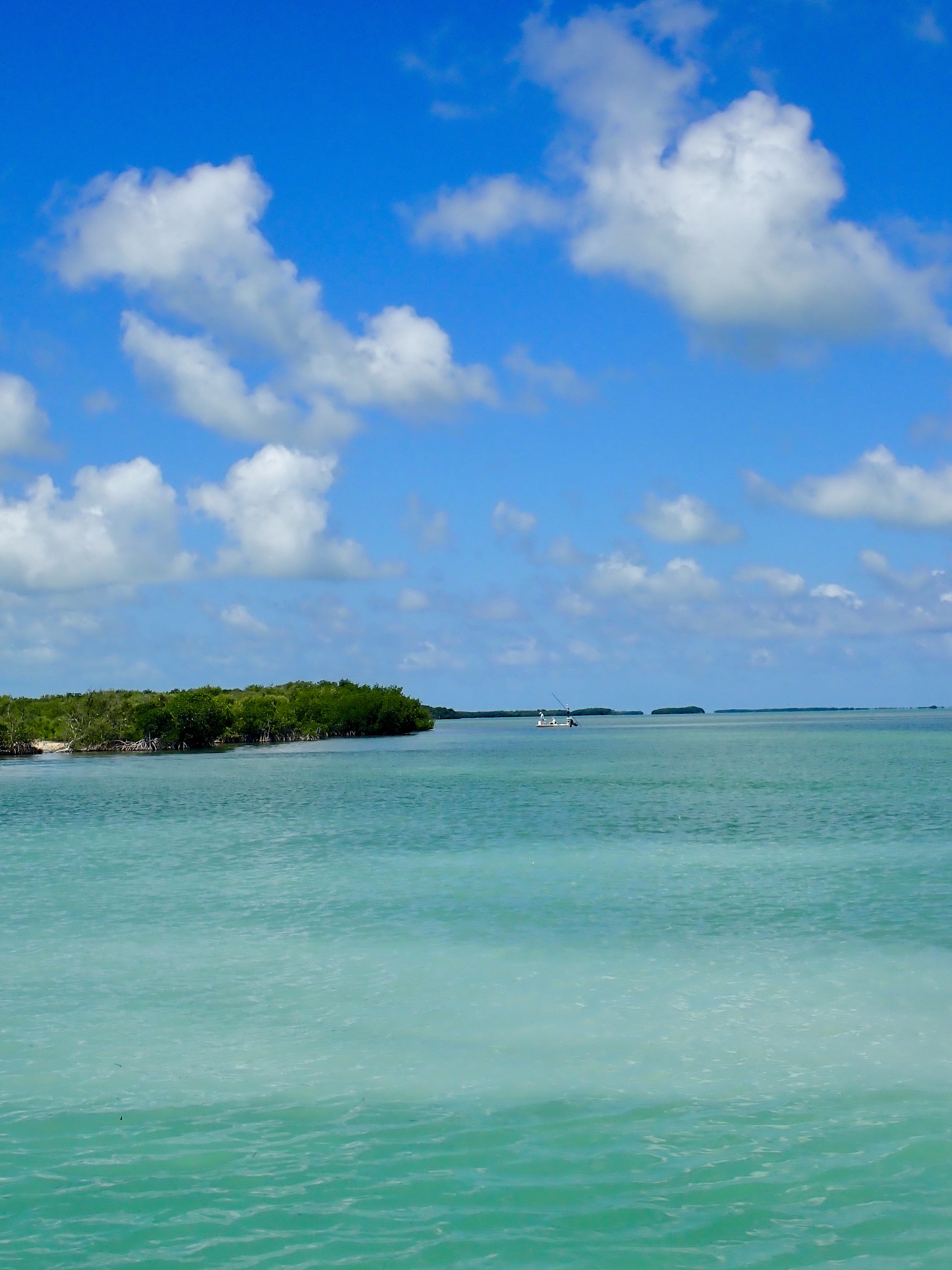 Florida Keys Flats card