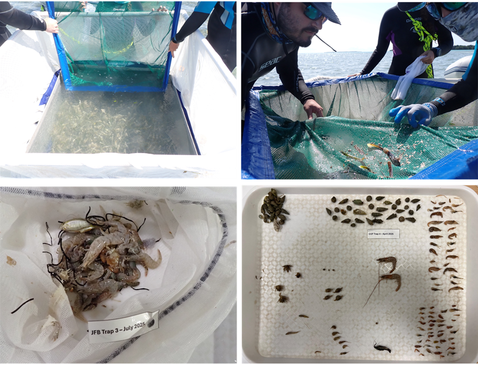 BTT Collection and Processing of Samples