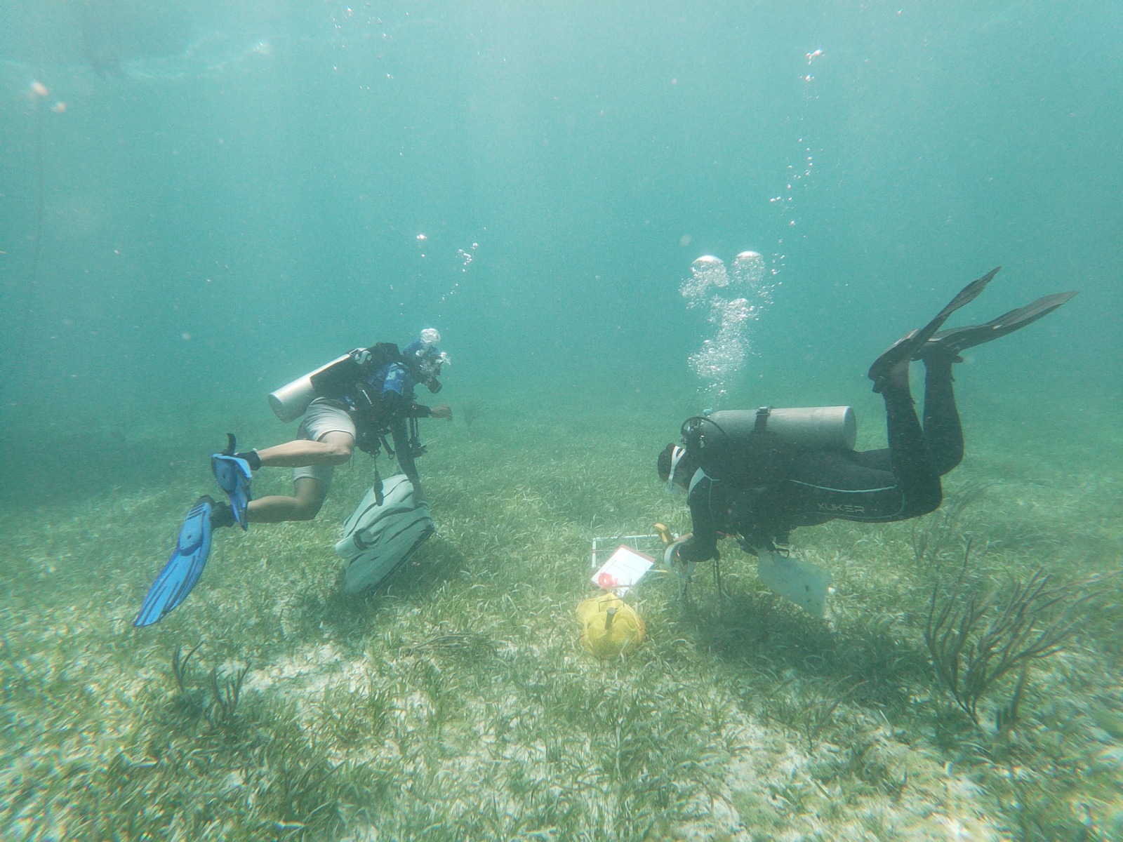 The Team conducting ground truthing