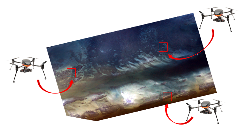 Conceptual Diagram of Remote Sensing Approach