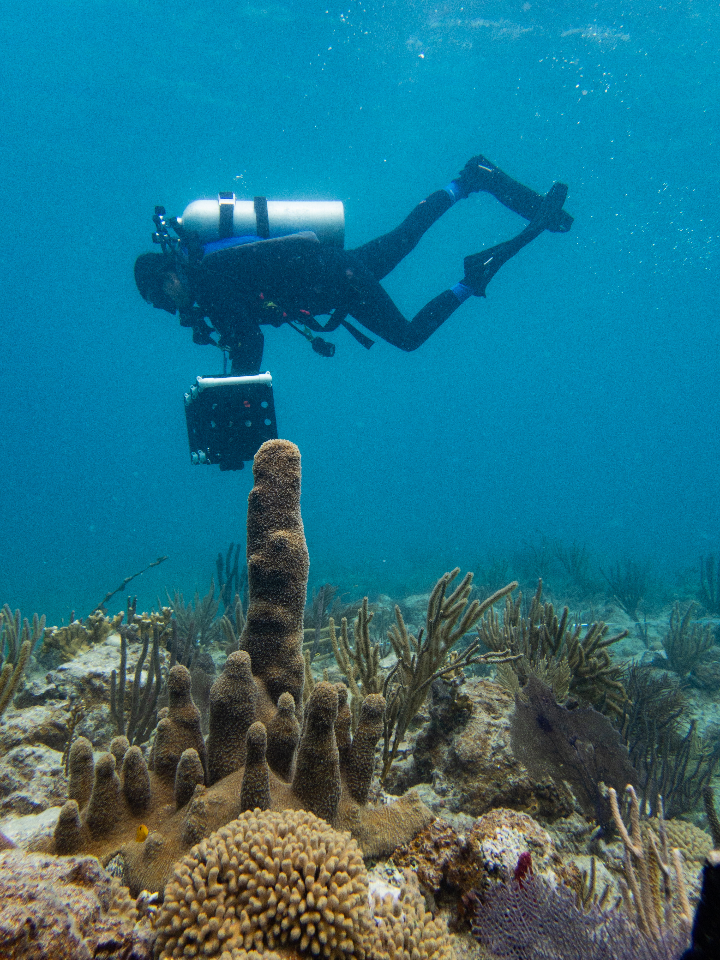 Valentina Bautista conducting photogrammetric monitoring