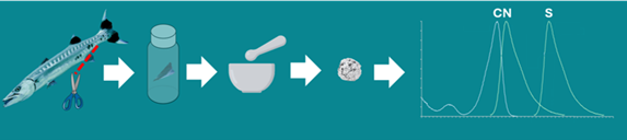 Conceptual Diagram of Stable Isotope Processing